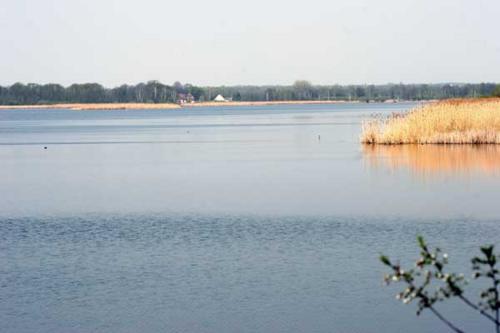 picture004.jpg