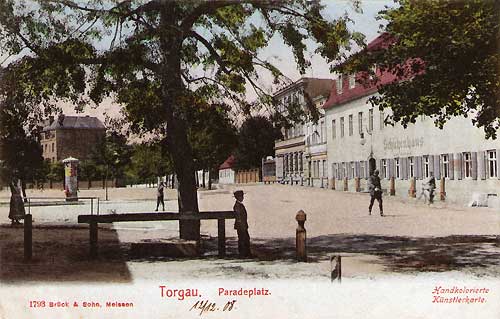 torgaua9.jpg